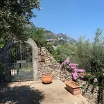 Pina *