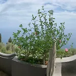 Villa Pina *