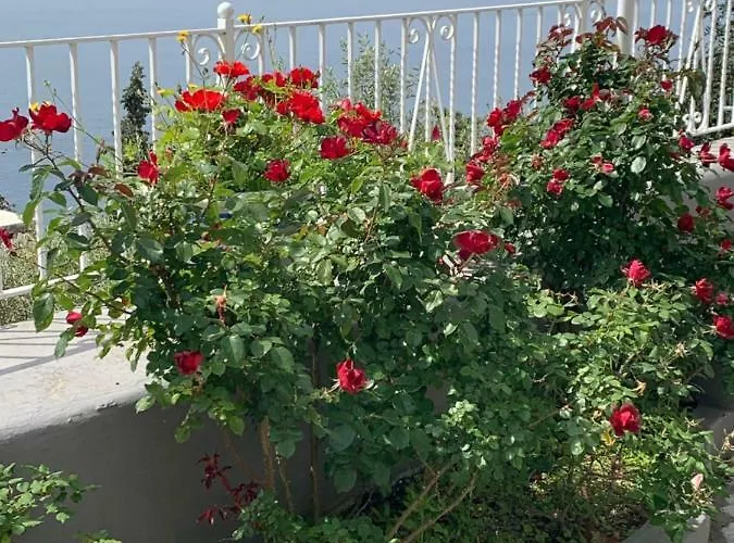 빌라 Pina 프라이아노