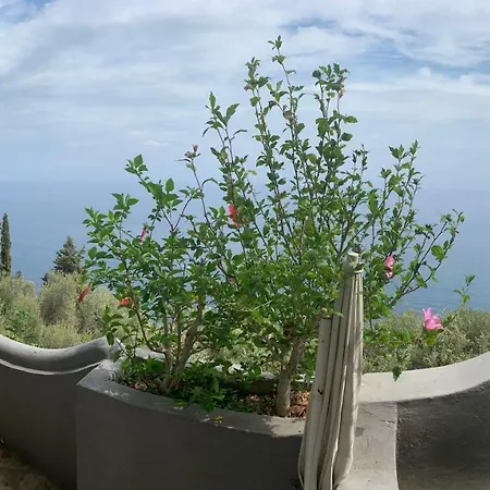 Villa Pina *